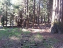 20140625_080915